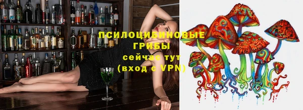 ALPHA-PVP Богородицк