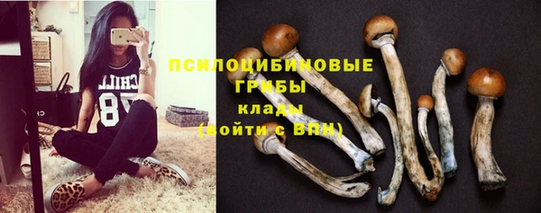 герыч Богданович