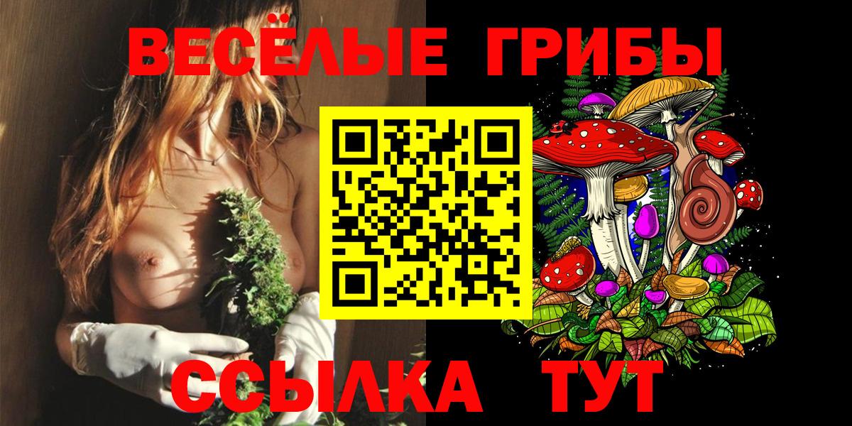 Псилоцибиновые грибы Psilocybine cubensis  Галлюциногенные грибы прущие грибы  Вход с VPN  Видное 